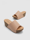 Azure Wedge Slides