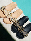 Reeves Flat Slides