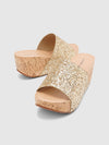 Erwan Wedge Slides