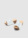 Lillian Wedge  Slides