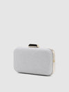 Saylor Clutch Bag